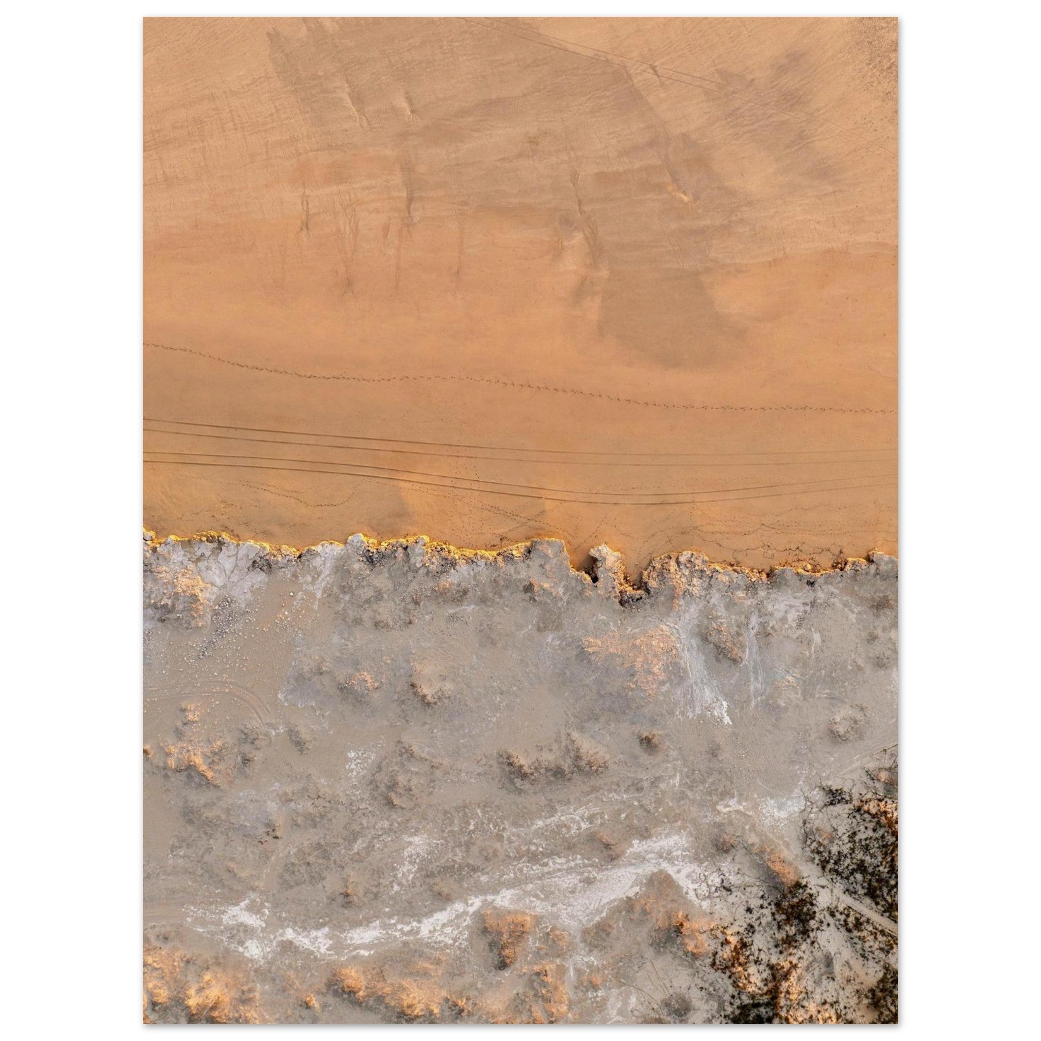 0317a4fd-ba16-4fd4-a794-3819904a79f1