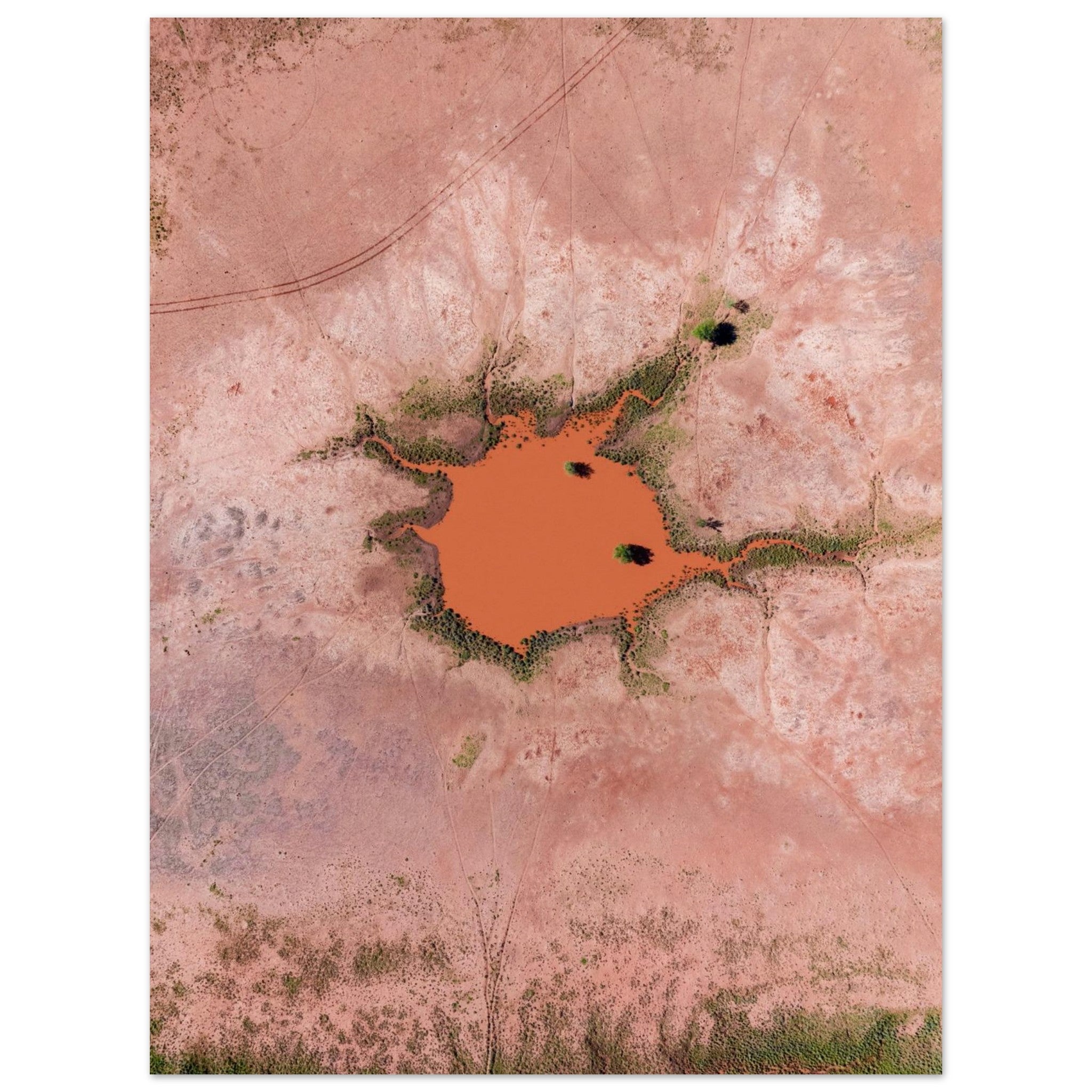 10f77a2a-28e0-488b-8145-d27babe8da0e