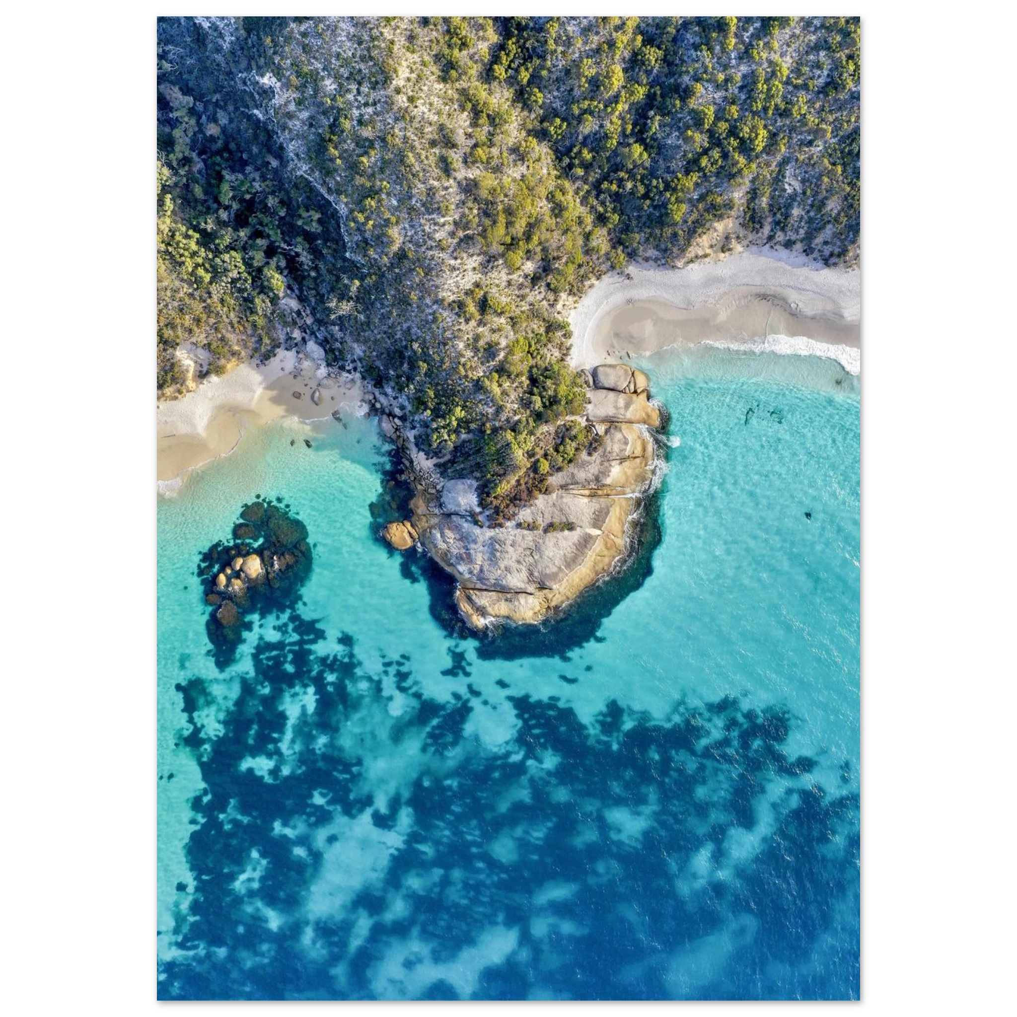 1b01d6fd-1837-437d-9a41-40f39a569cd4