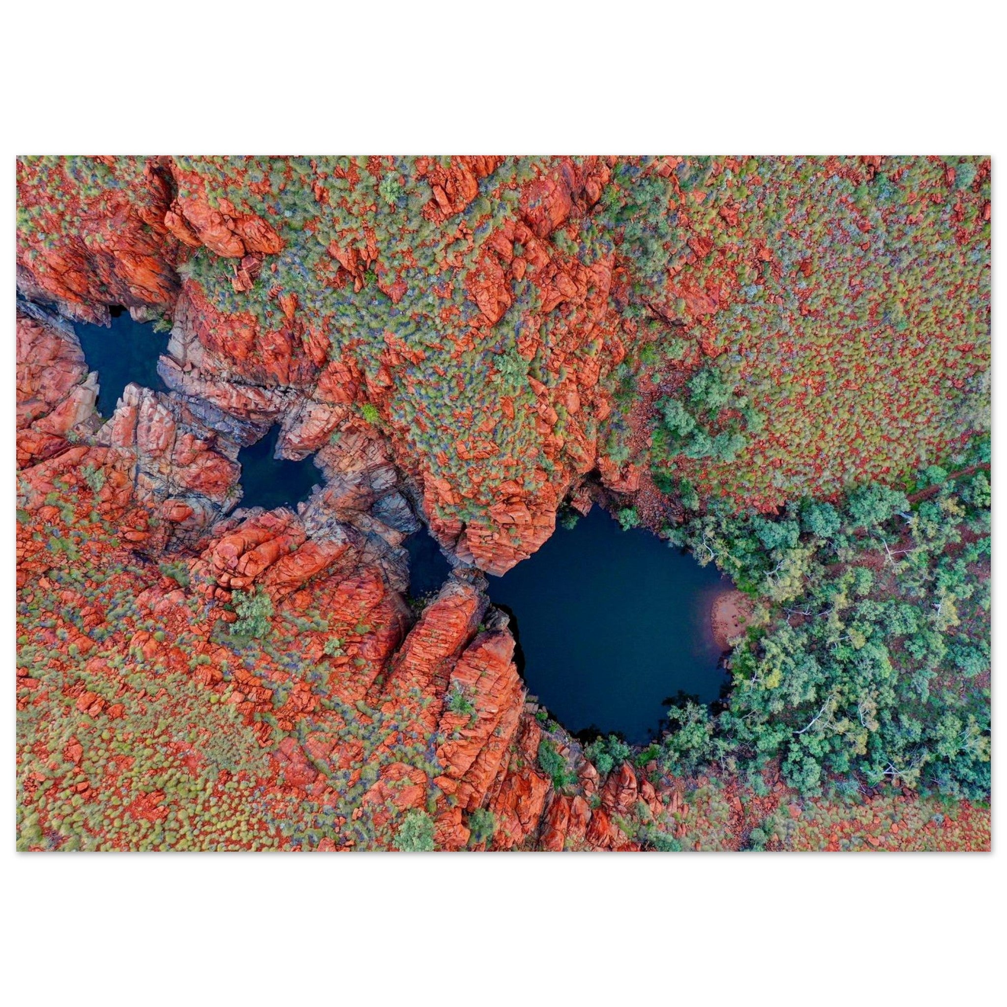 1b54522c-8532-41e2-8dd6-705b651270ba