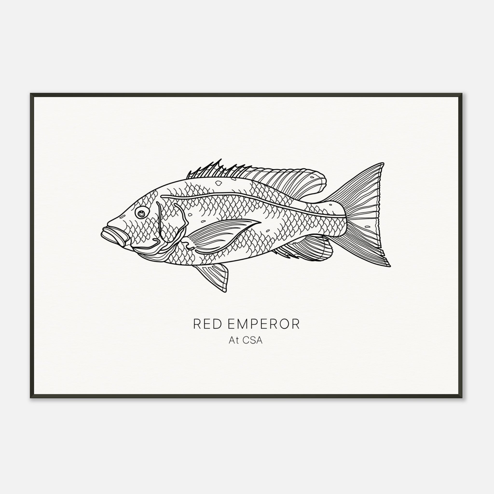 1c0cd691-8647-4d47-a0cc-86f1d628d97b