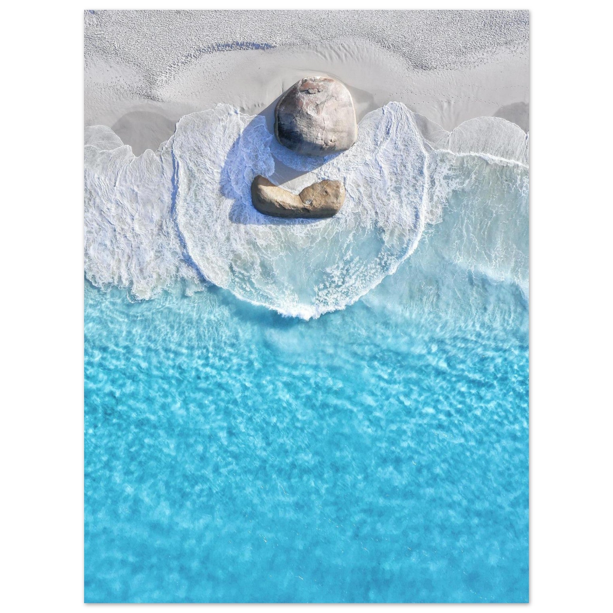 1c87b55d-14c1-4b24-8766-cf7b29dd65ad