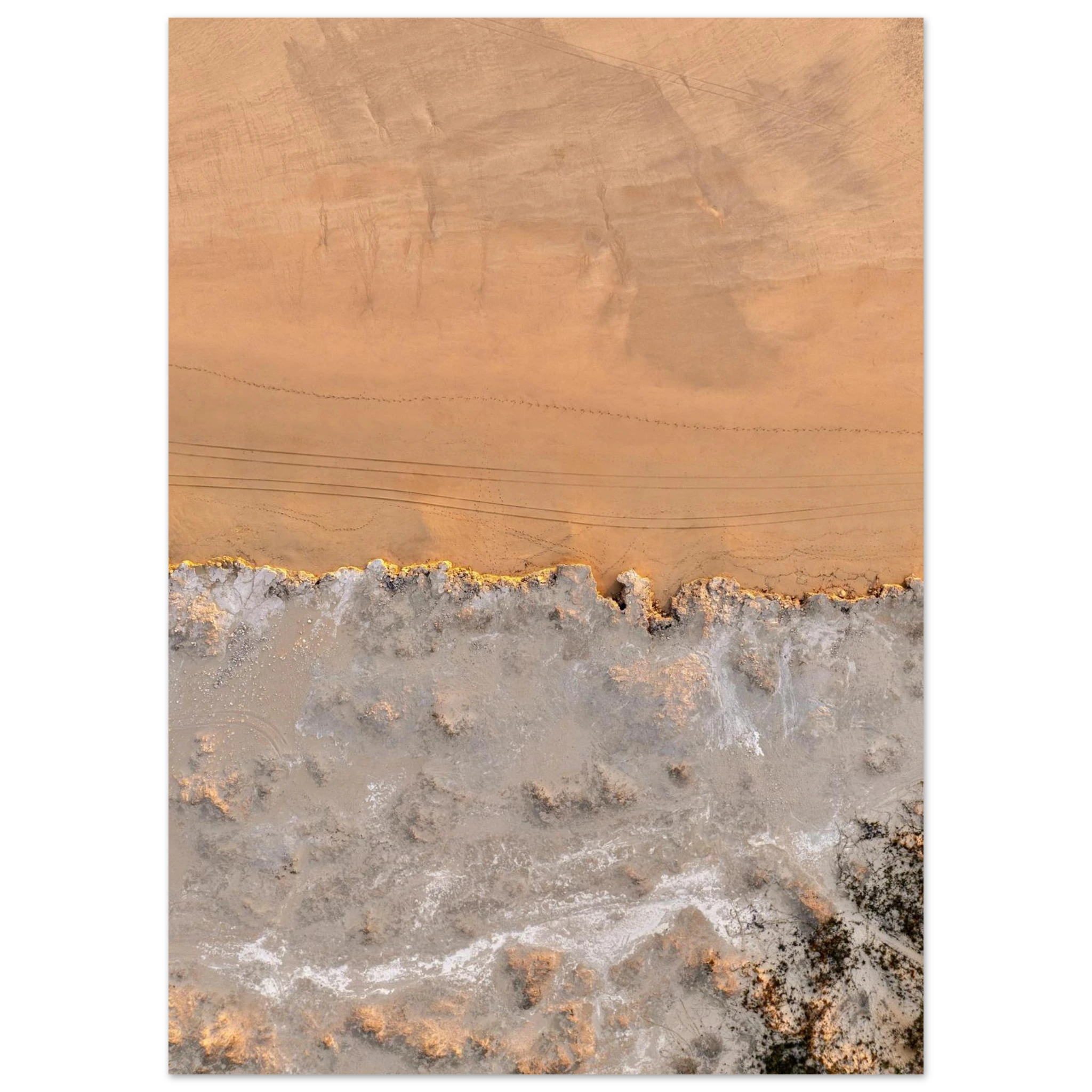 1f562474-76b1-4200-87ad-2246a2969852