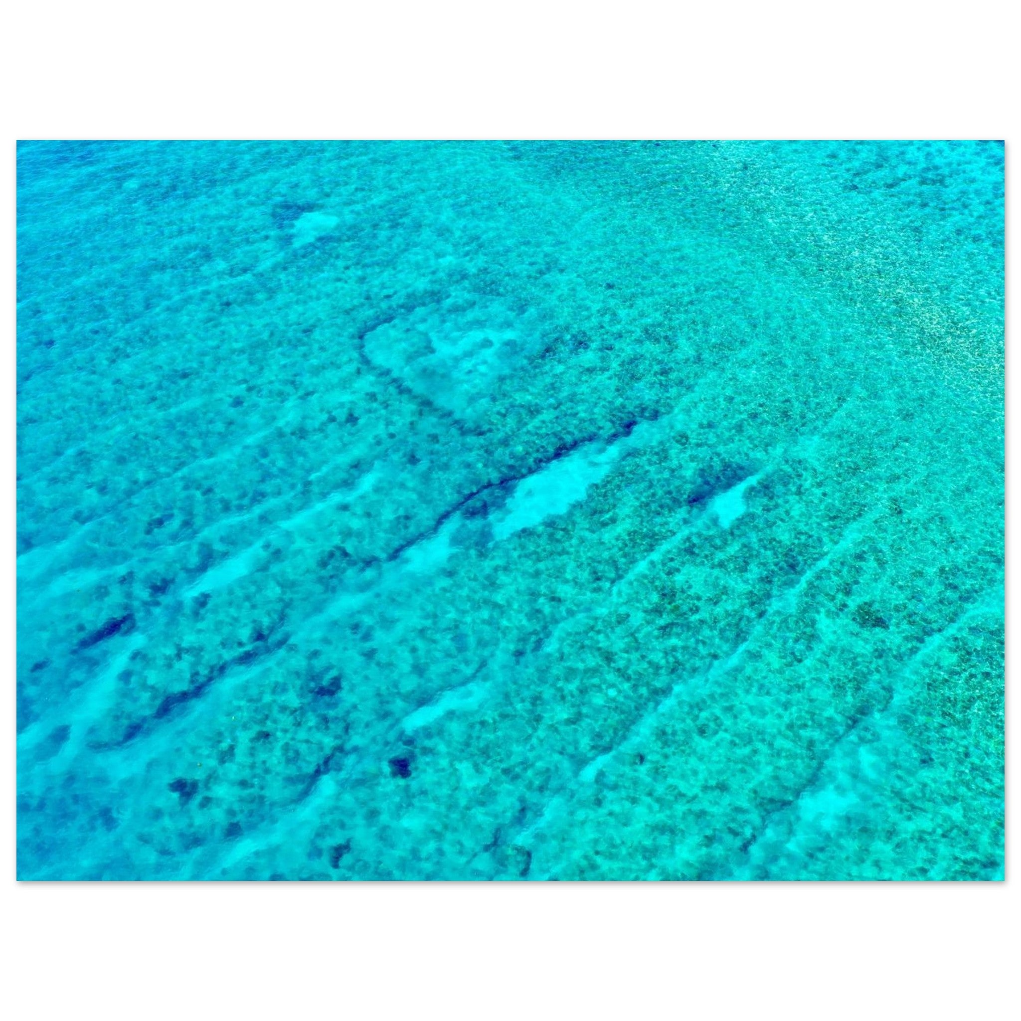 20120cfe-3a3d-4054-a7ca-5ec8366d7158