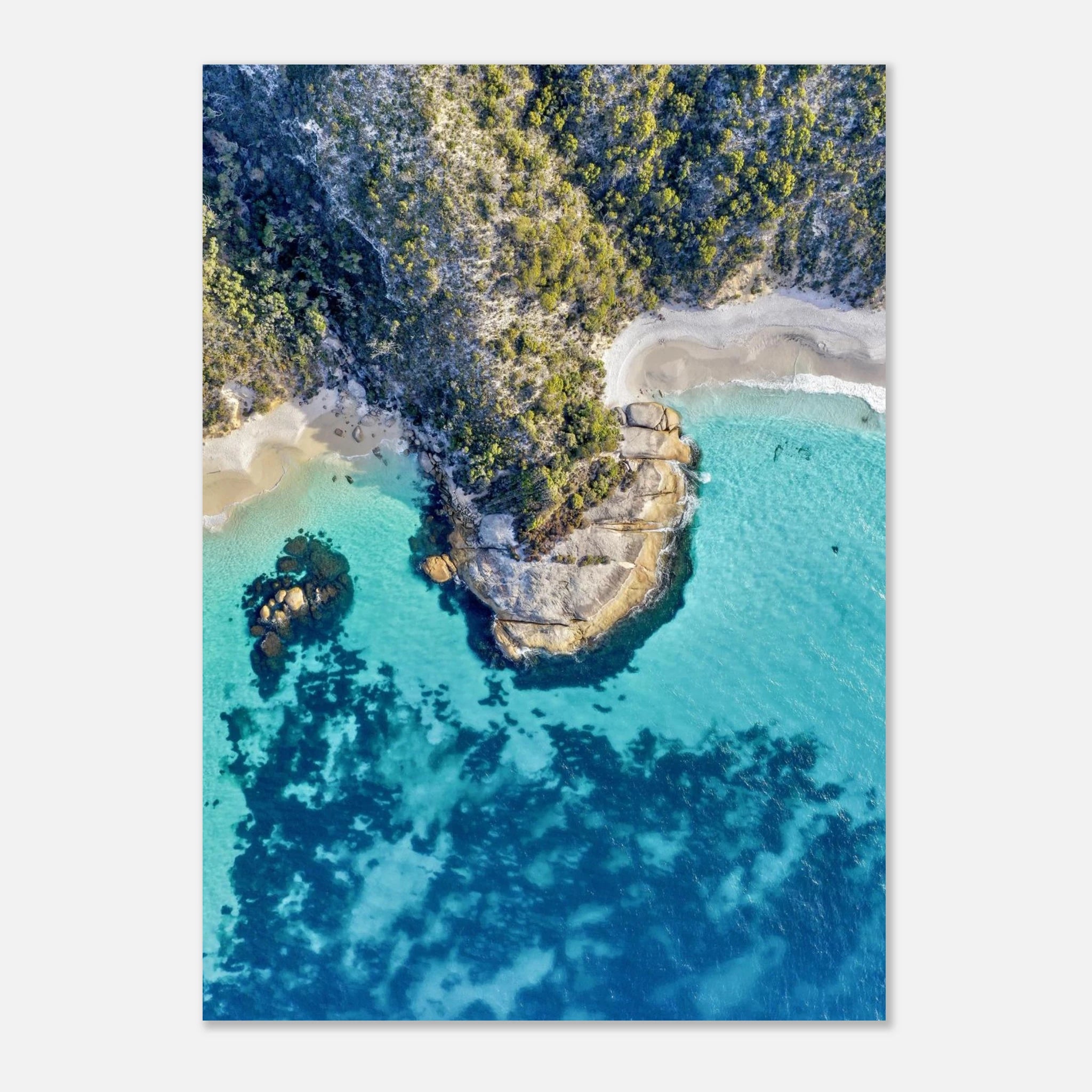 24d8aa3a-8af9-4c19-8115-c6103b5ffc16