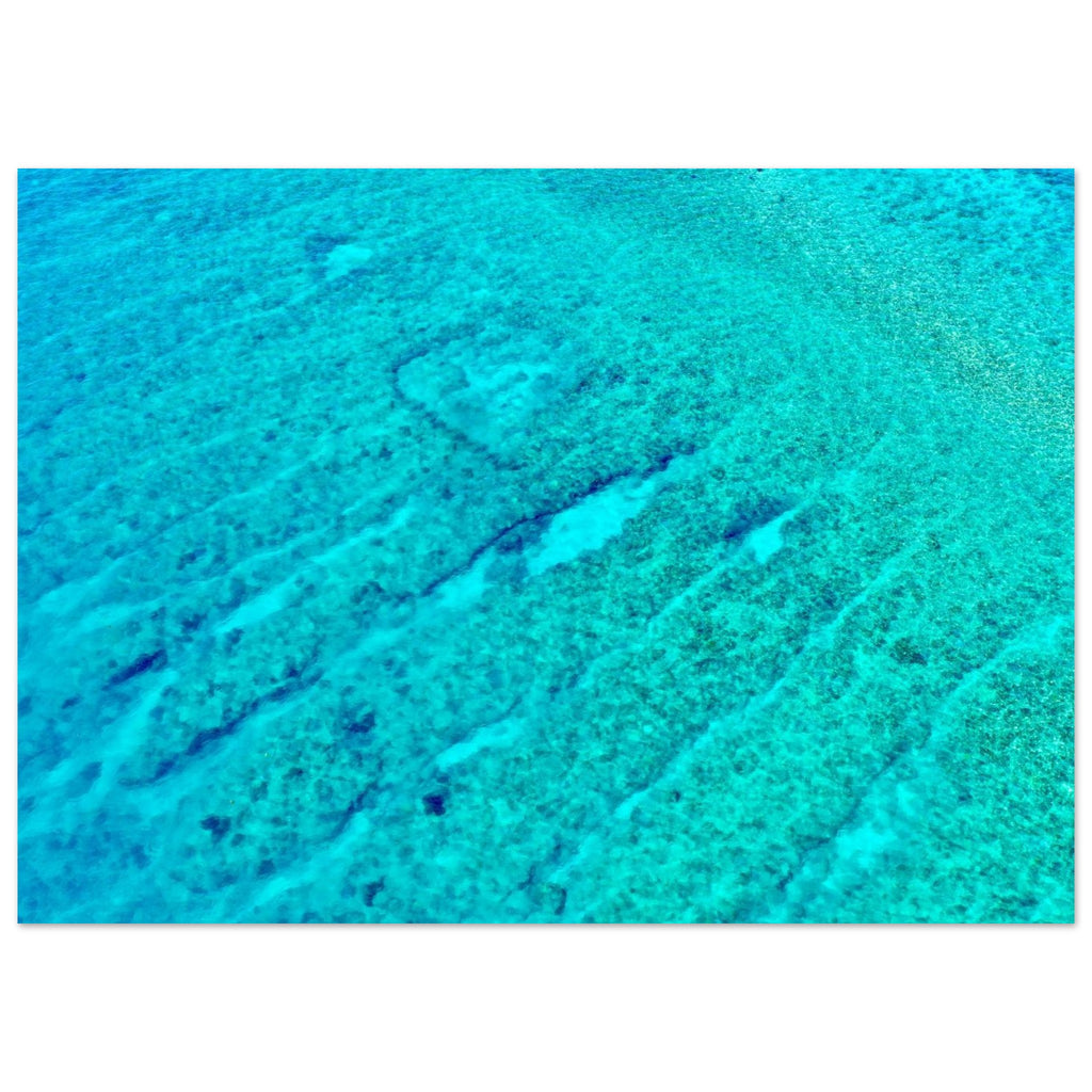 277ae1de-2cb7-4149-9bd9-300356d14ebf