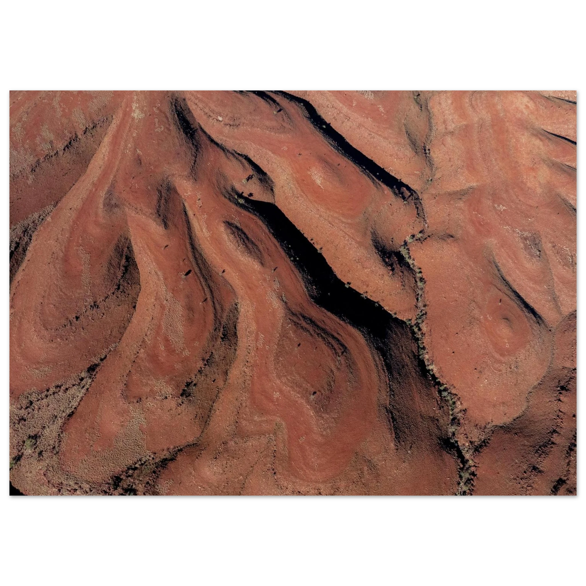 2c6561c2-ec84-4df4-9b91-f4ecf8ab17f6