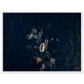 3ac6c718-c20b-4494-af6b-5bcc42f90d39