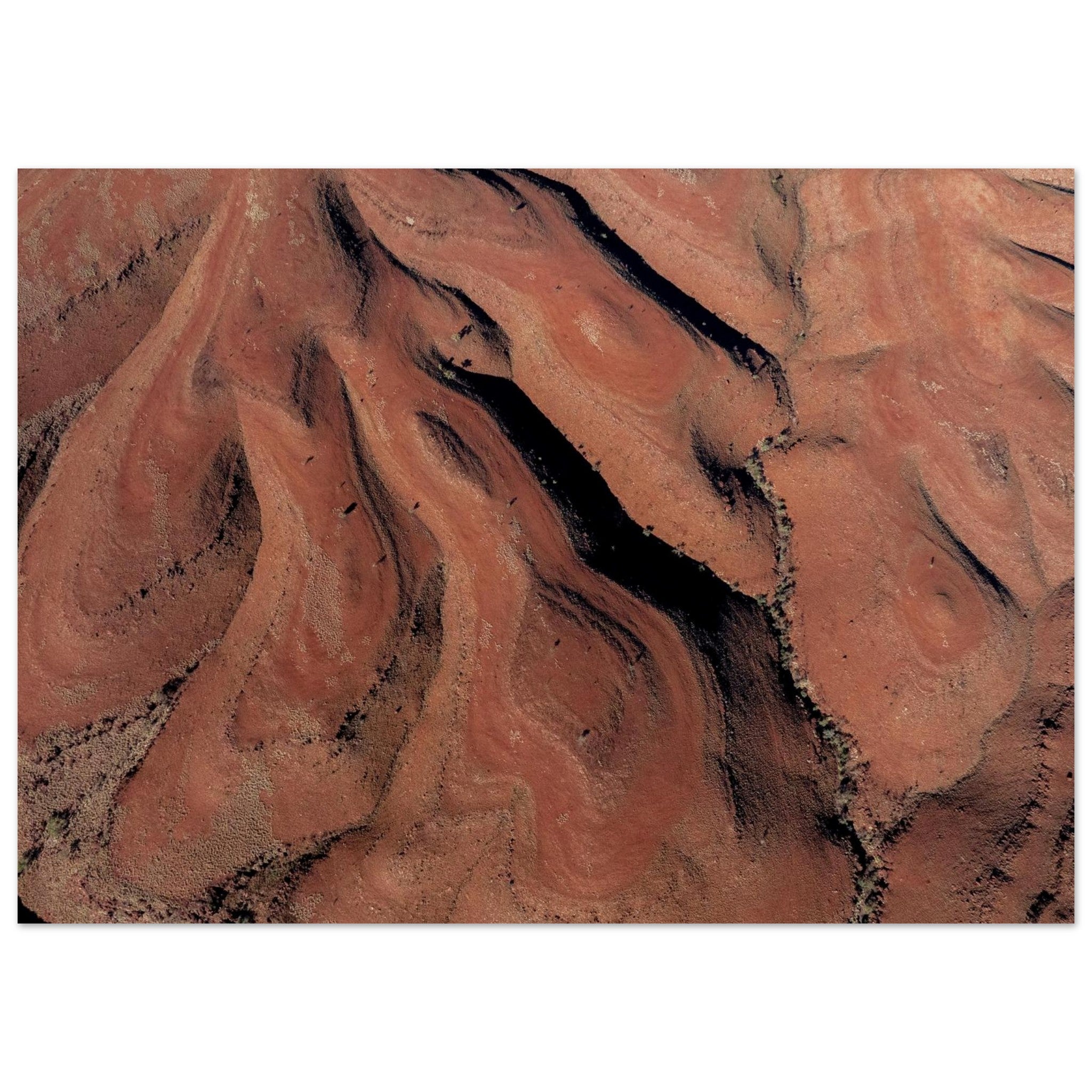 3f35c192-d9b8-43b5-bc59-60d53d3b4770