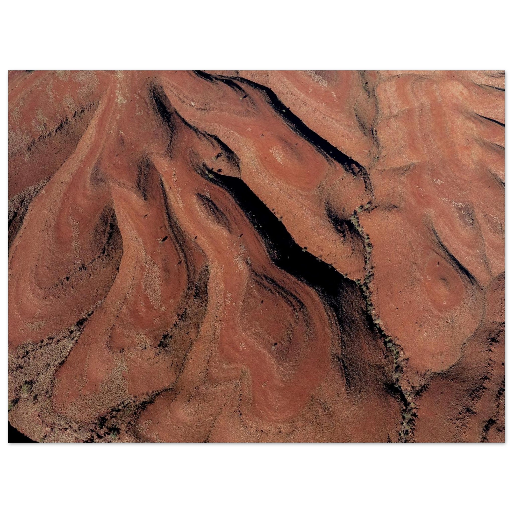 41e8f8cb-4ffb-485f-b05b-eedc6f662435