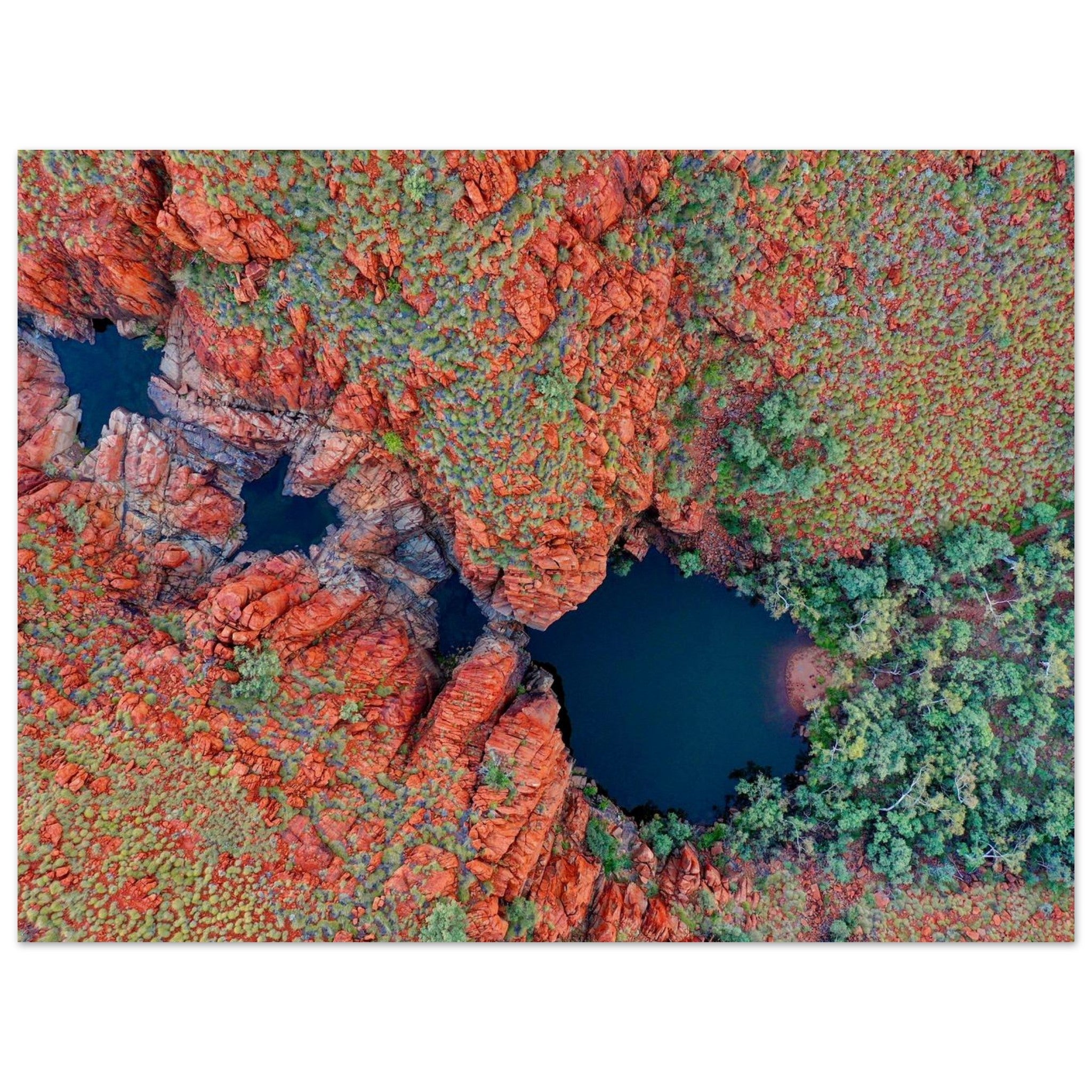 51d98f74-ad9f-4e98-a354-d10a64be3176