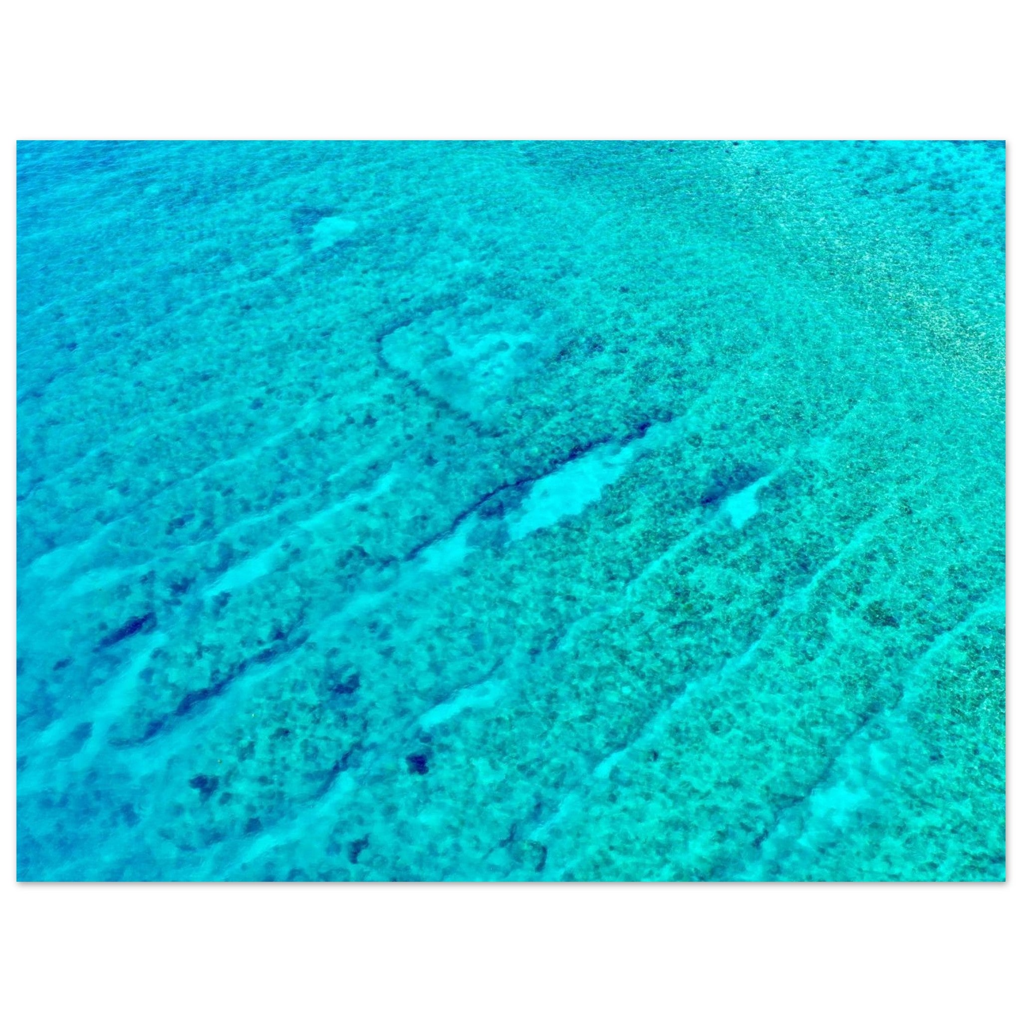 5a7721ad-afdb-45a0-a7c3-ef26261fd00c