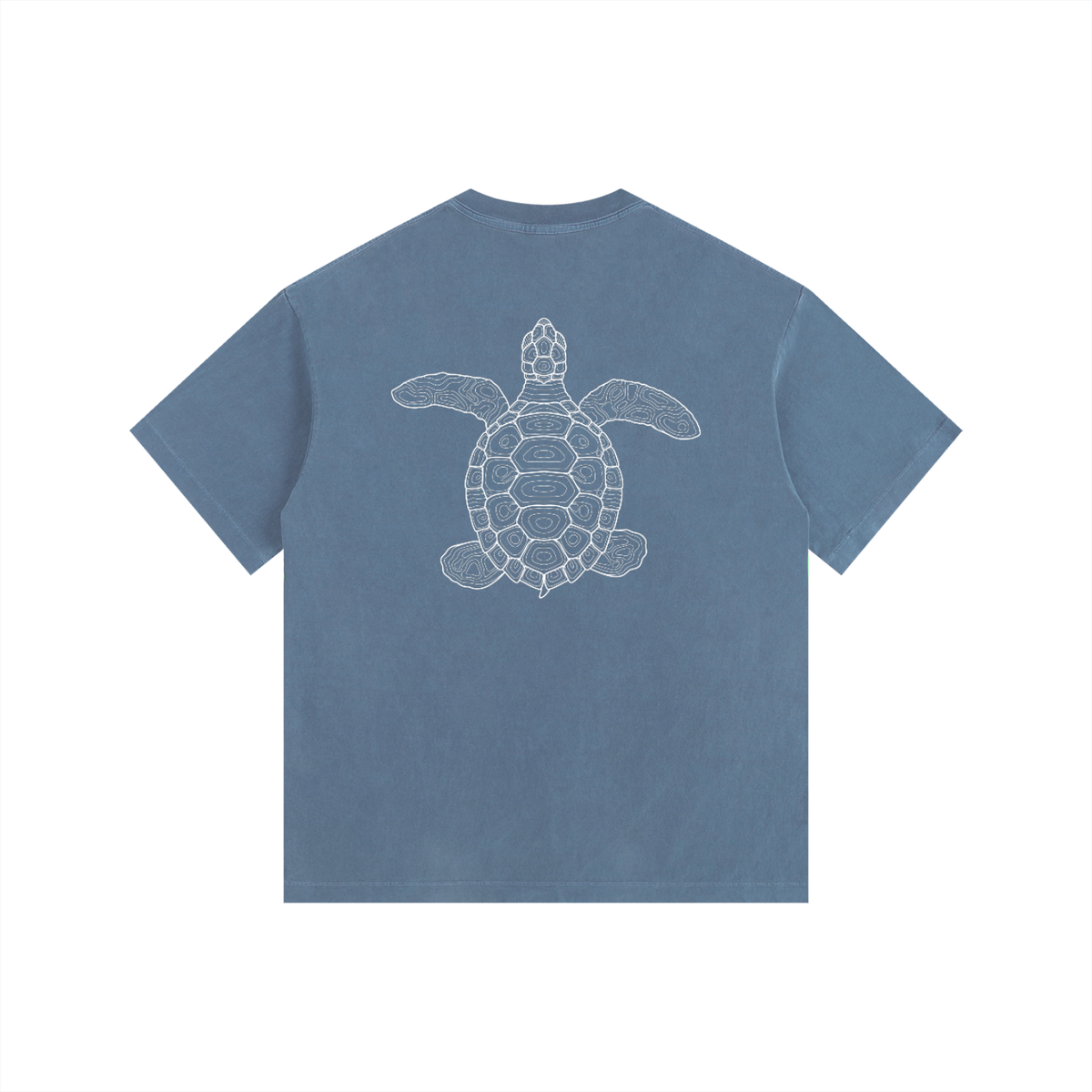 TURTLE LOVE