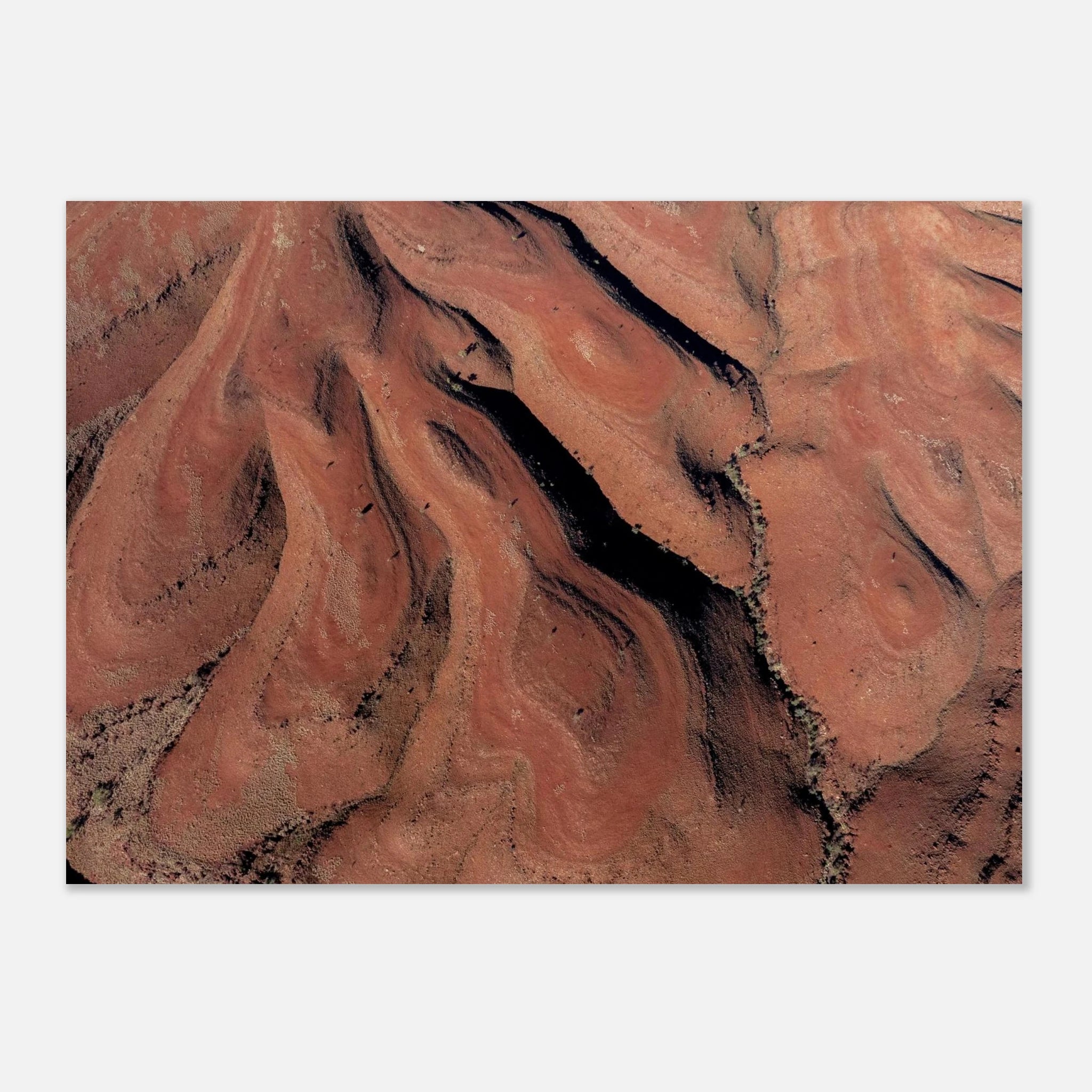 6ec16afe-dfc6-4801-9637-d965d2b97e90