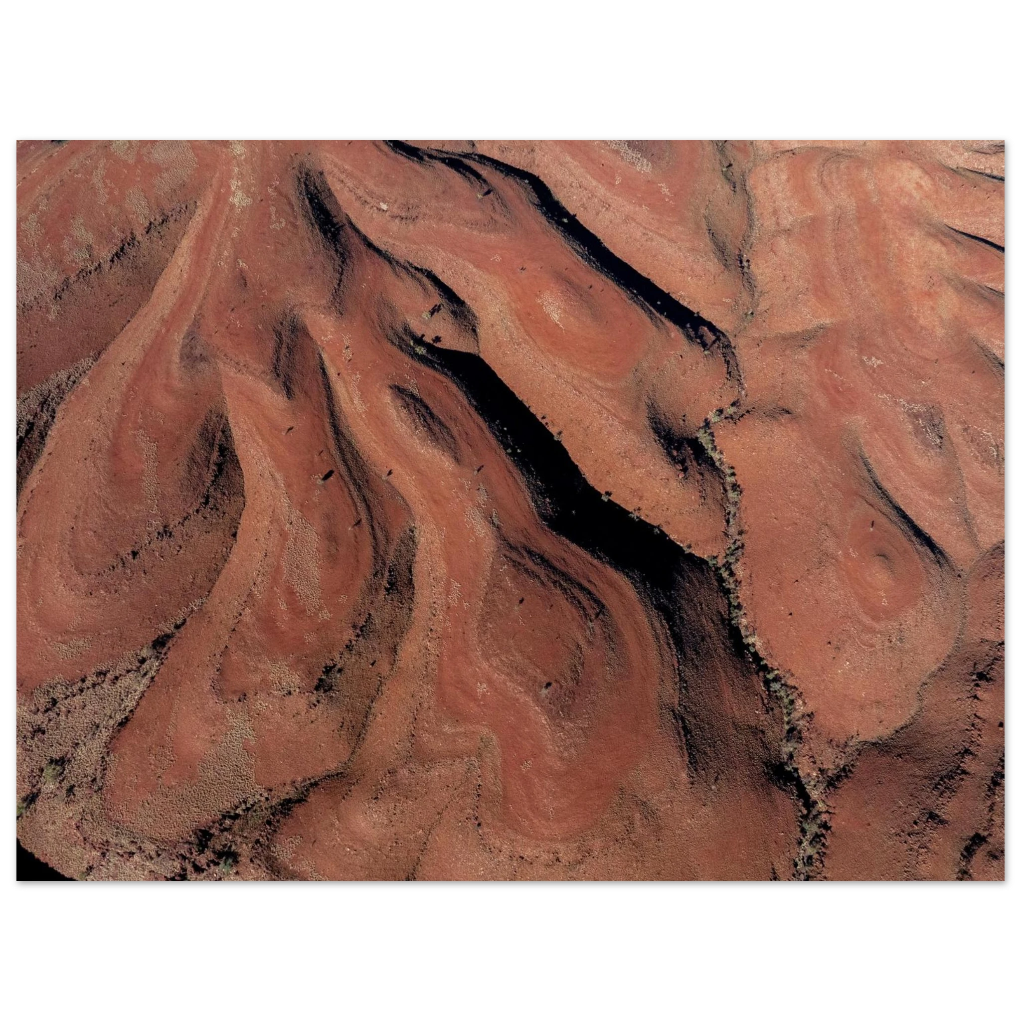 72c976f2-b513-43e3-85d5-d1e6bf22a395