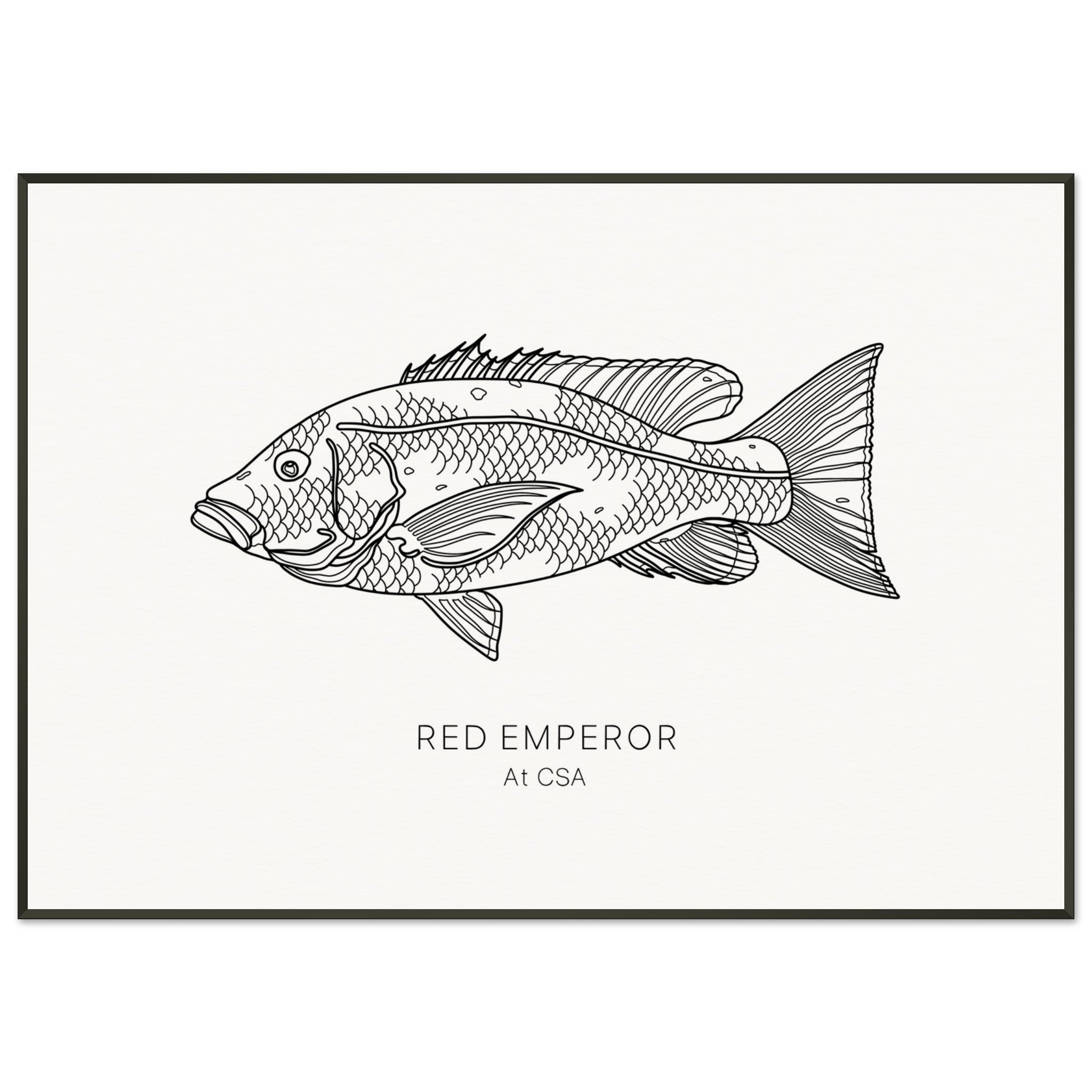 779b5564-0f1a-4ef9-b83e-e543db10591c