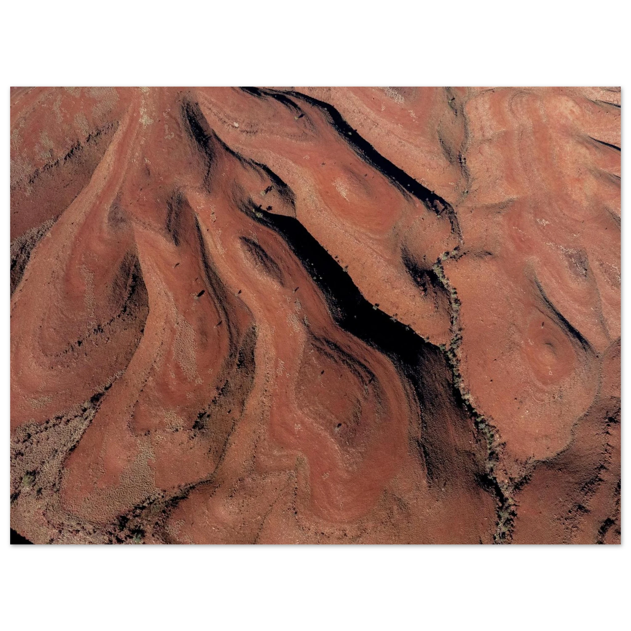 88441092-2552-437a-960c-59d79714bae8