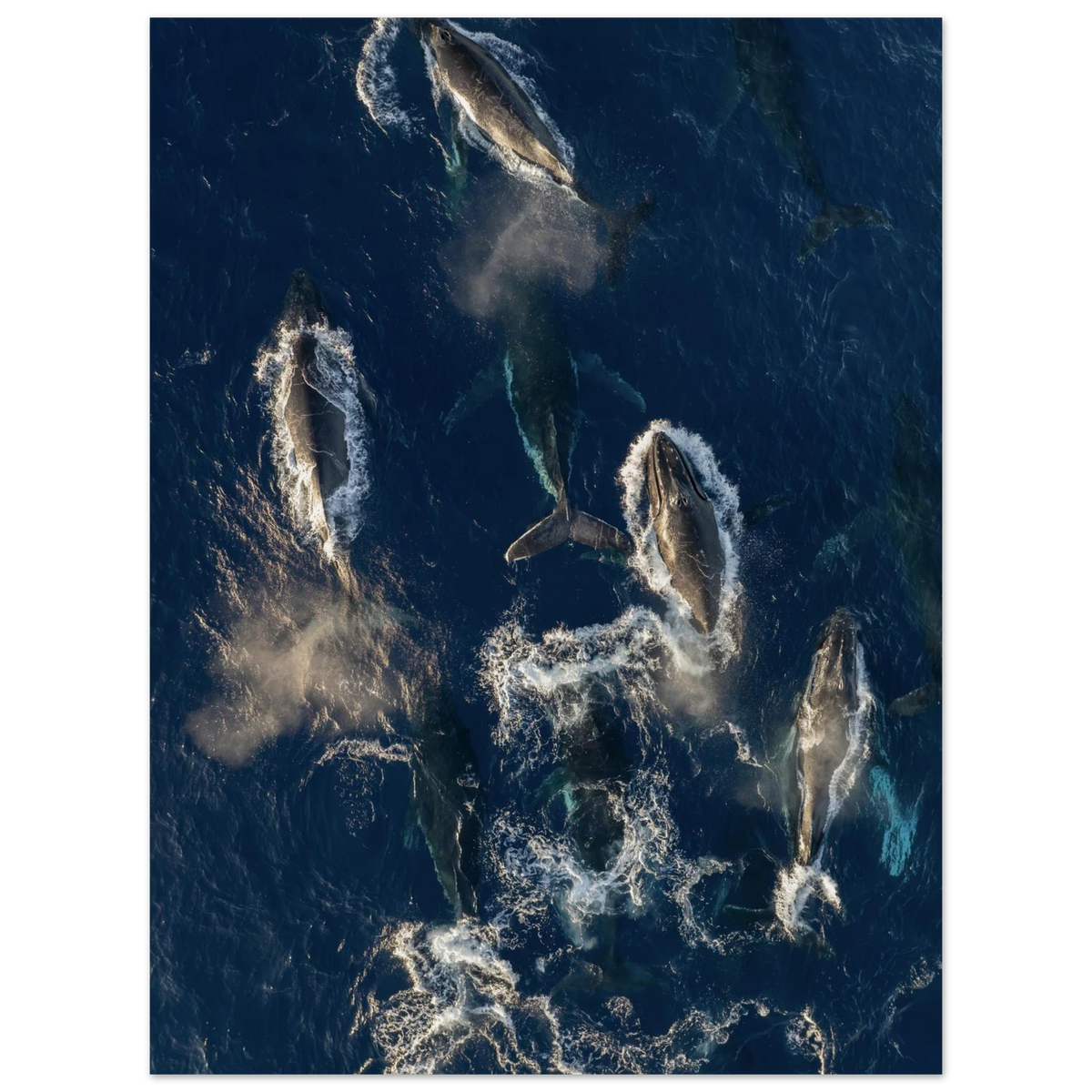 91fbfde5-6318-4d90-ba02-562994ab86c1