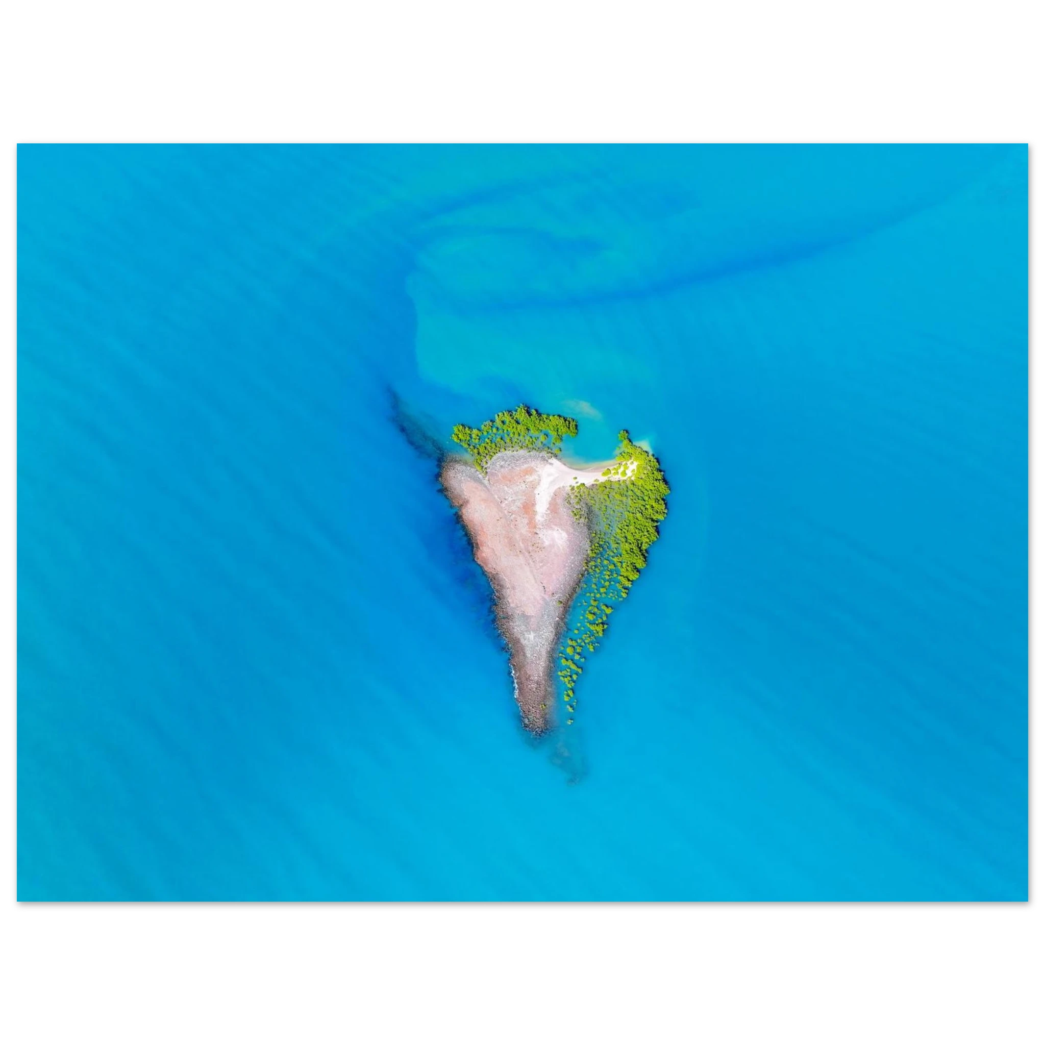 96e6abc1-1826-4155-ba18-28b14bab530f