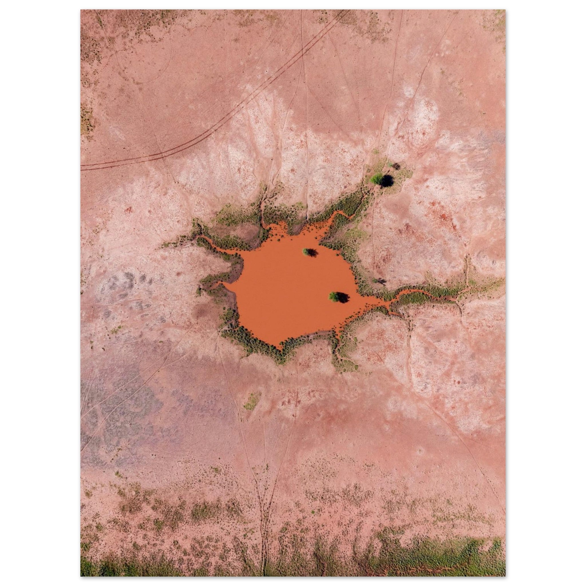 9e19a749-f1e0-442b-a5b8-c72c8dec7380