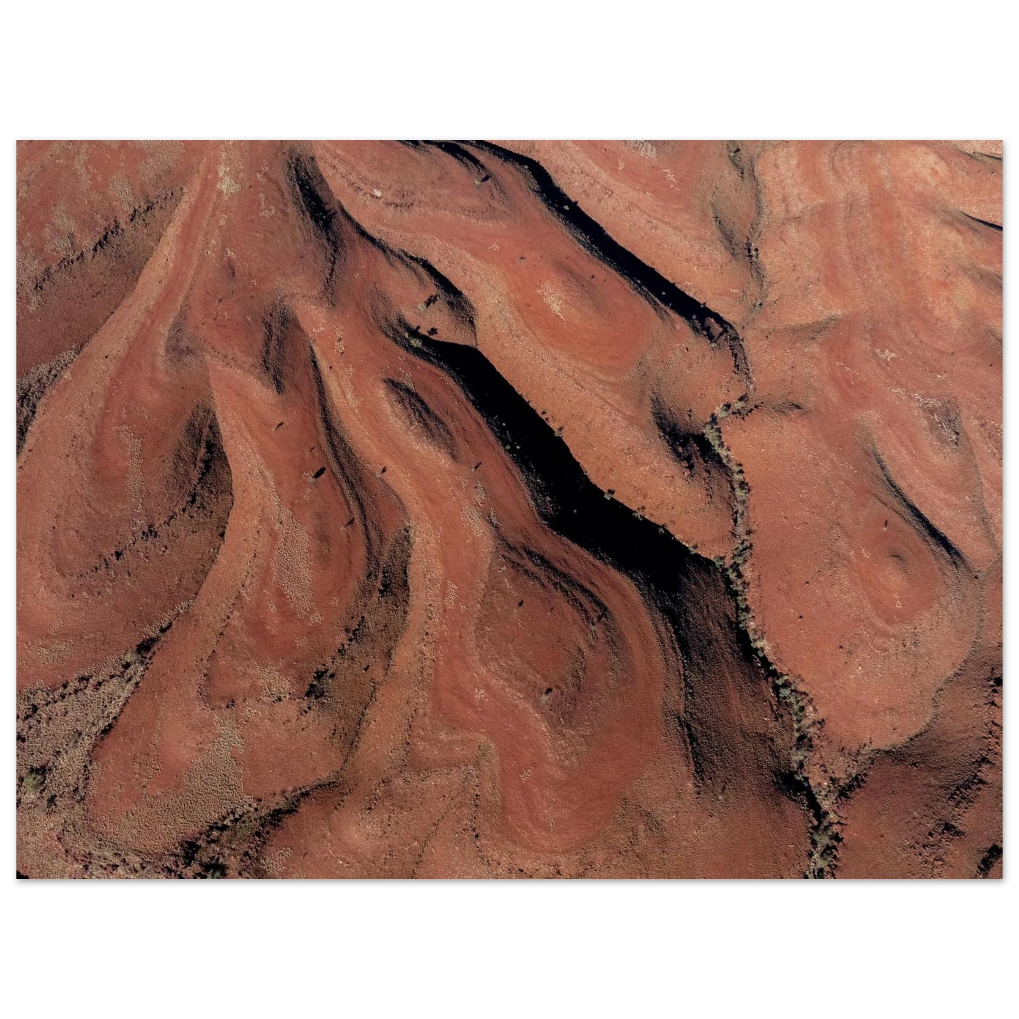 a1df299b-38c7-4c0c-9a4e-7a2d54b89c96