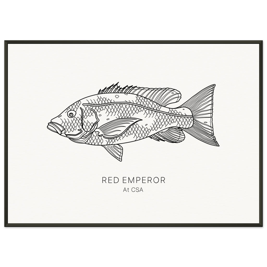 ba83dfdc-de6e-46c0-be50-264c8206dc22