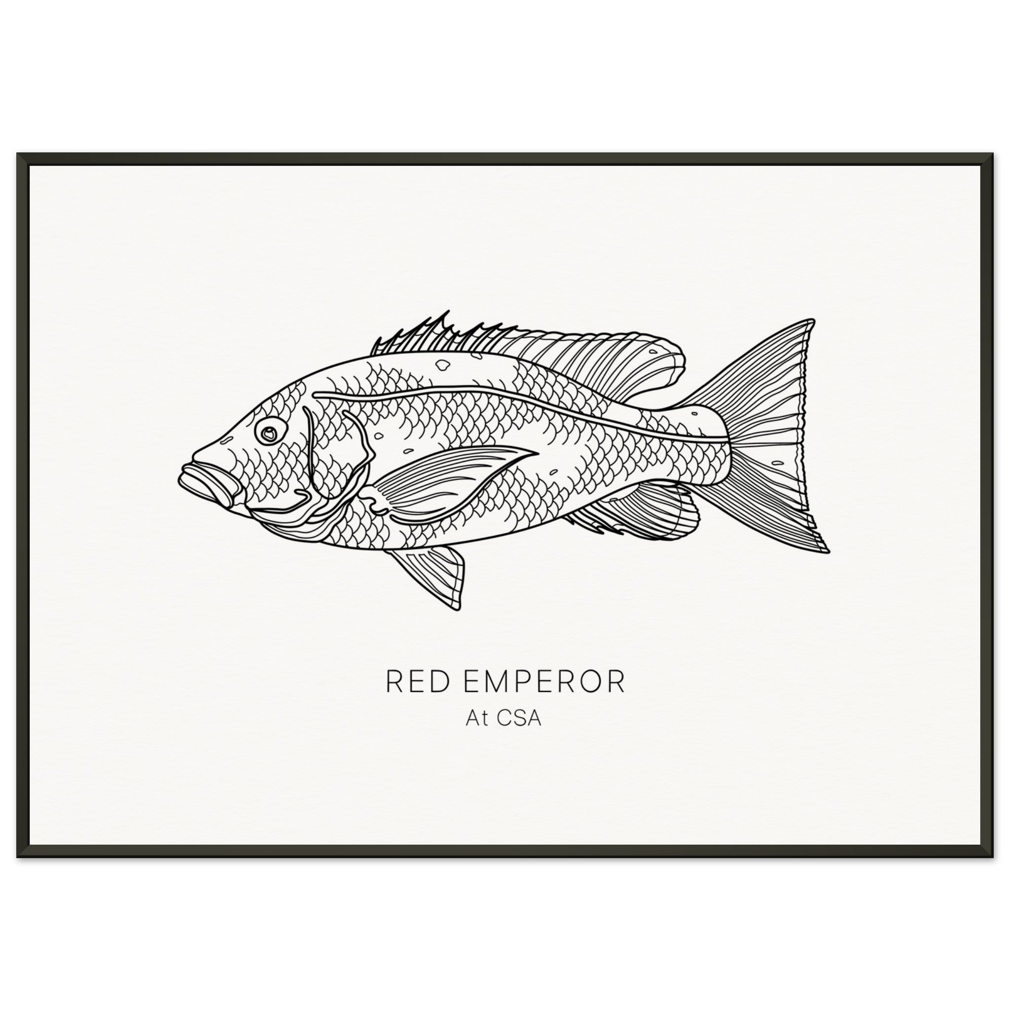 ba83dfdc-de6e-46c0-be50-264c8206dc22