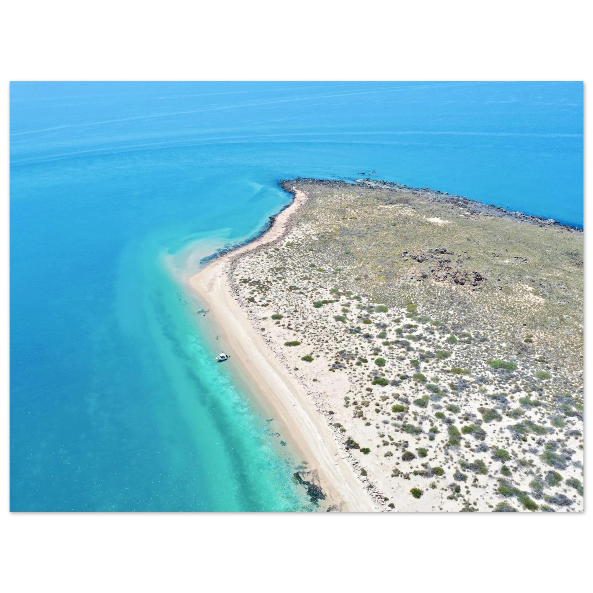 dd8cecf6-44d7-43b5-8627-2f41ed3c8460