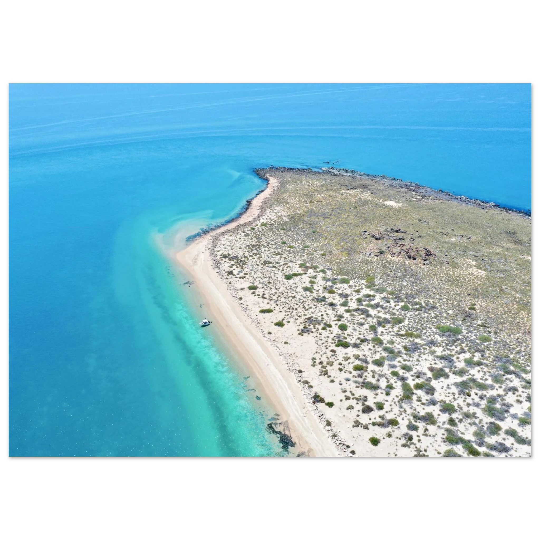 e0086e57-535c-4616-a040-eb2b3b170931