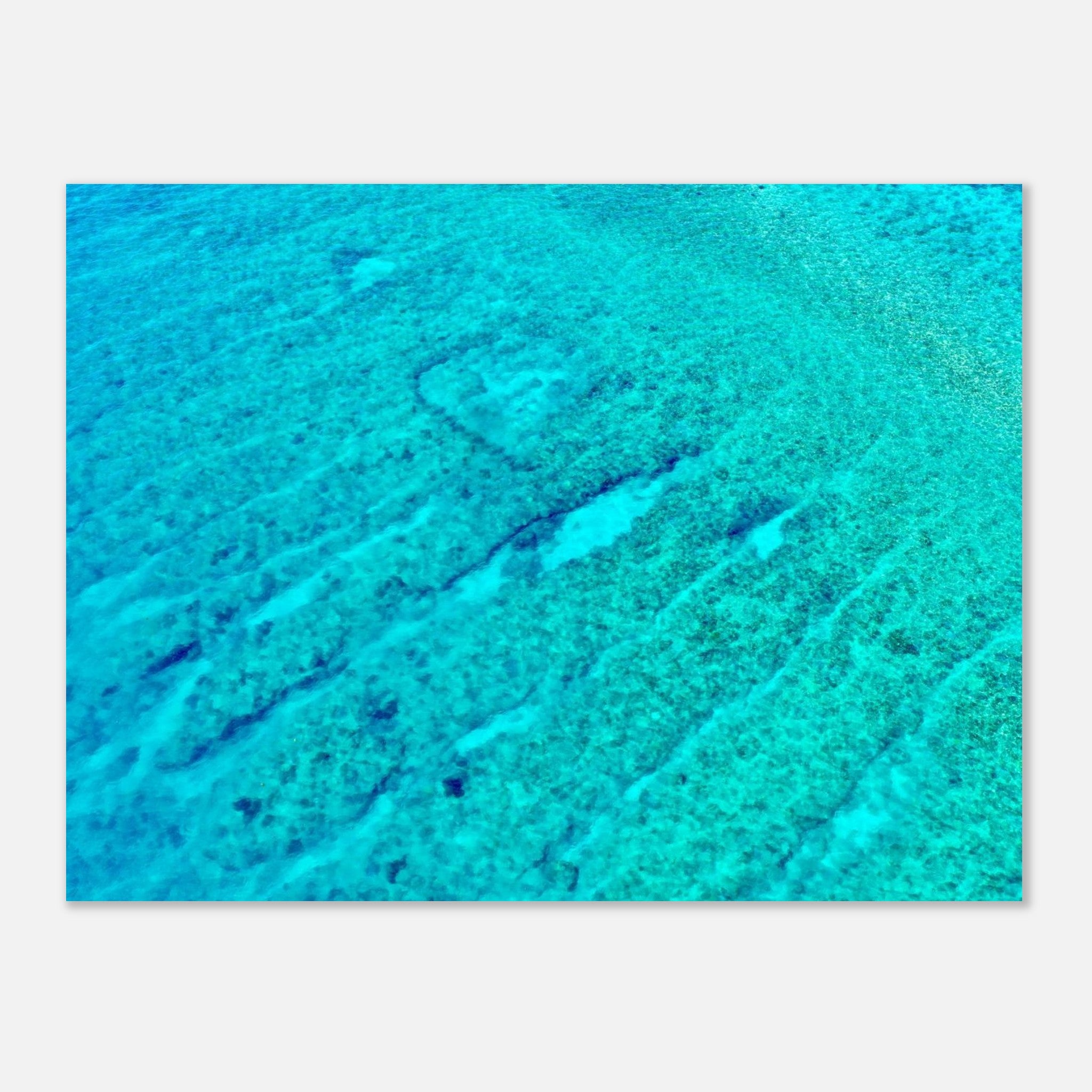 ecc1fa36-63f0-48c2-9f42-69e86793cb3f