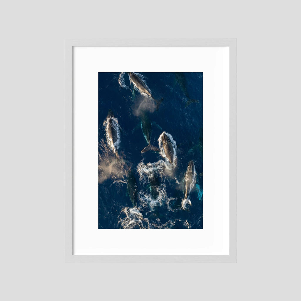 Travellers