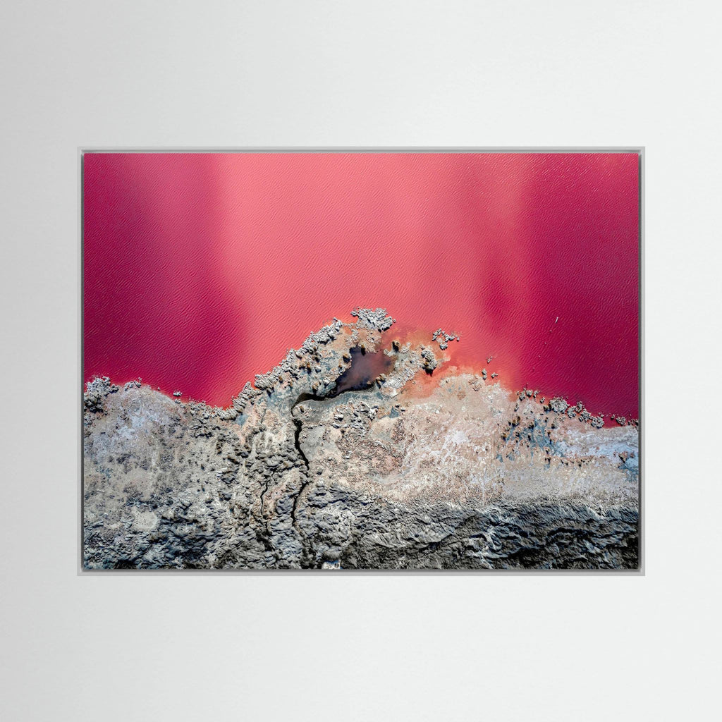 In The Pink Light