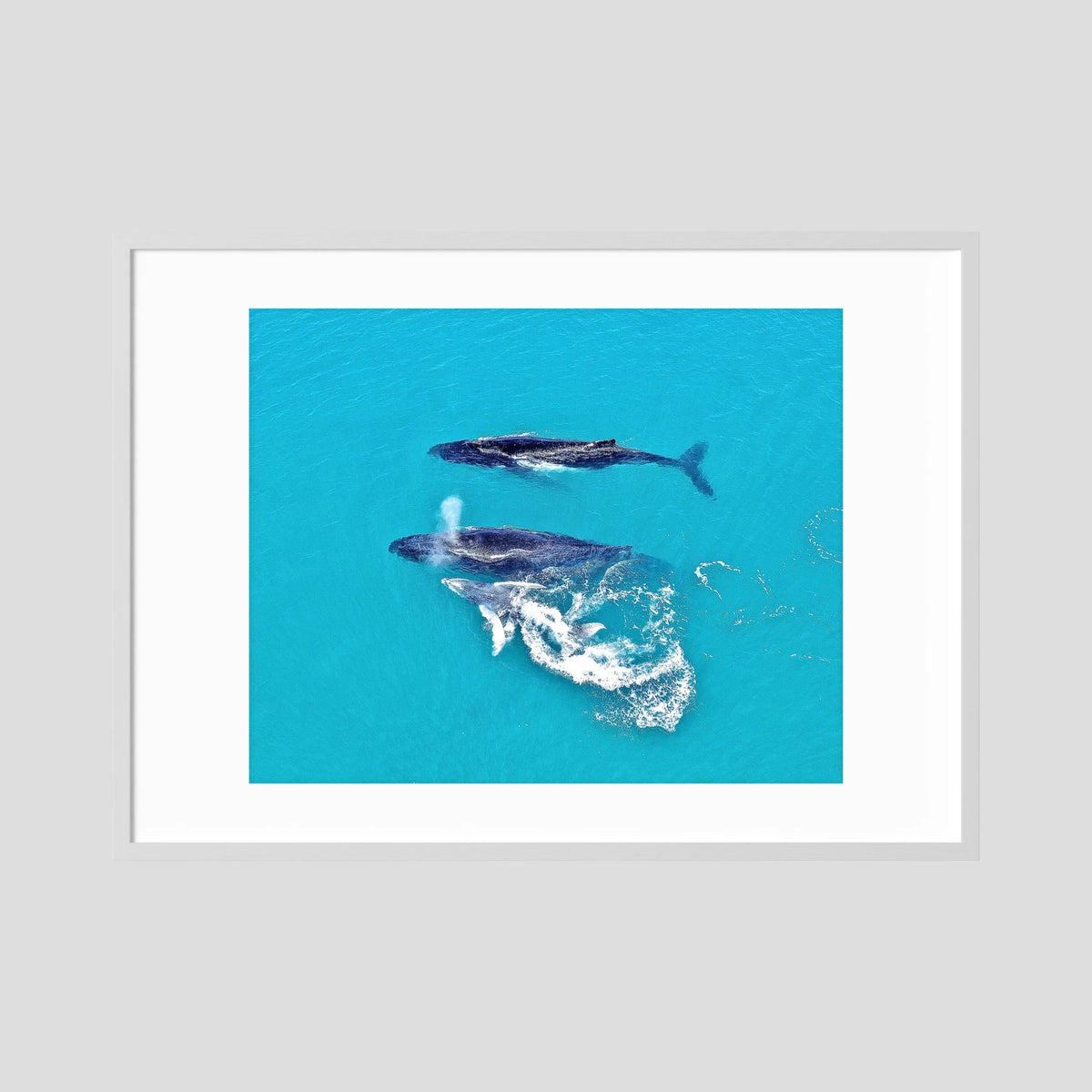 Ocean Child