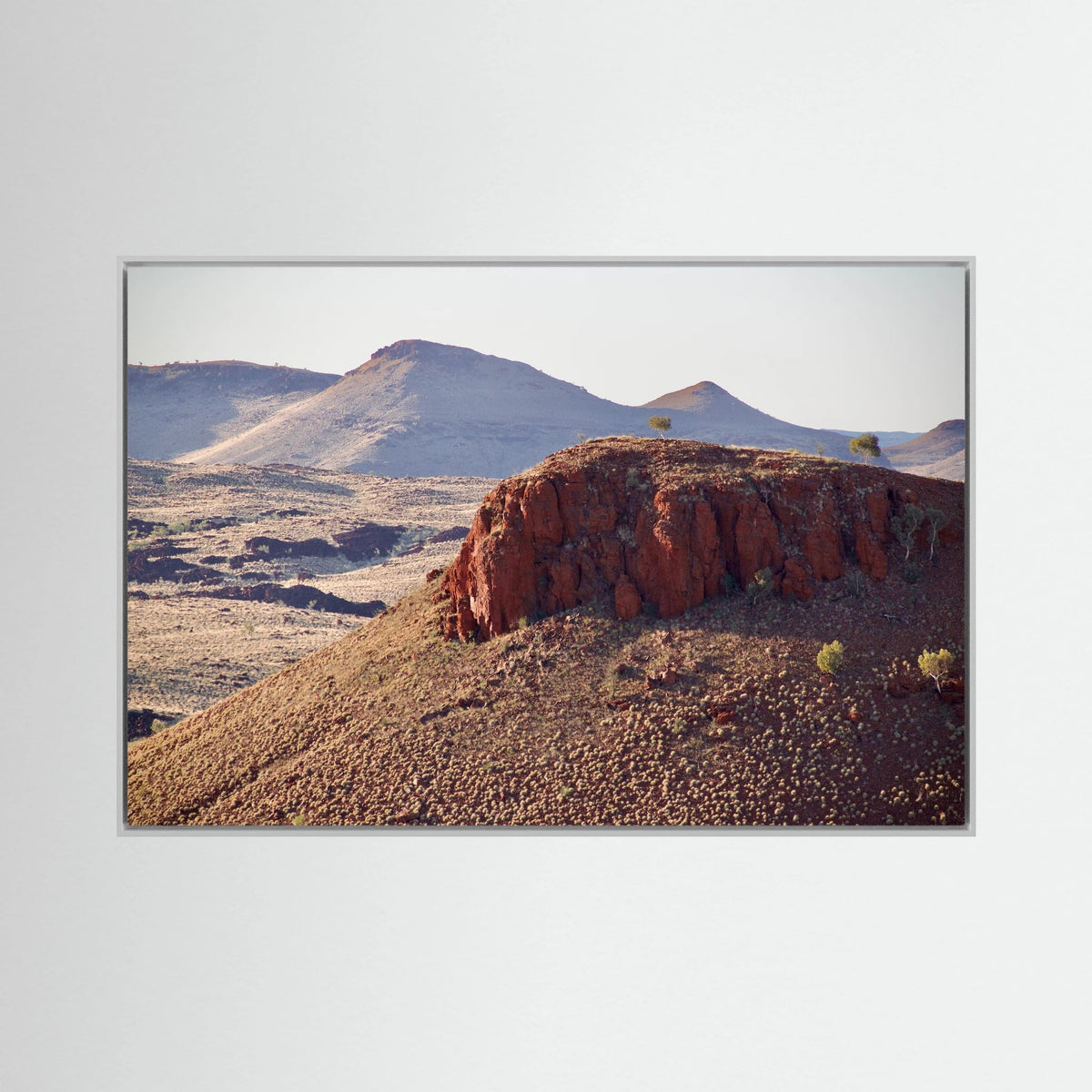 Spinifex Country