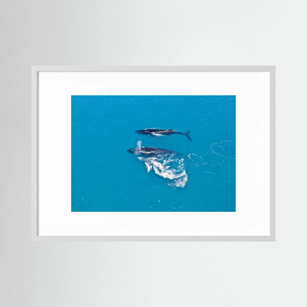 Ocean Child